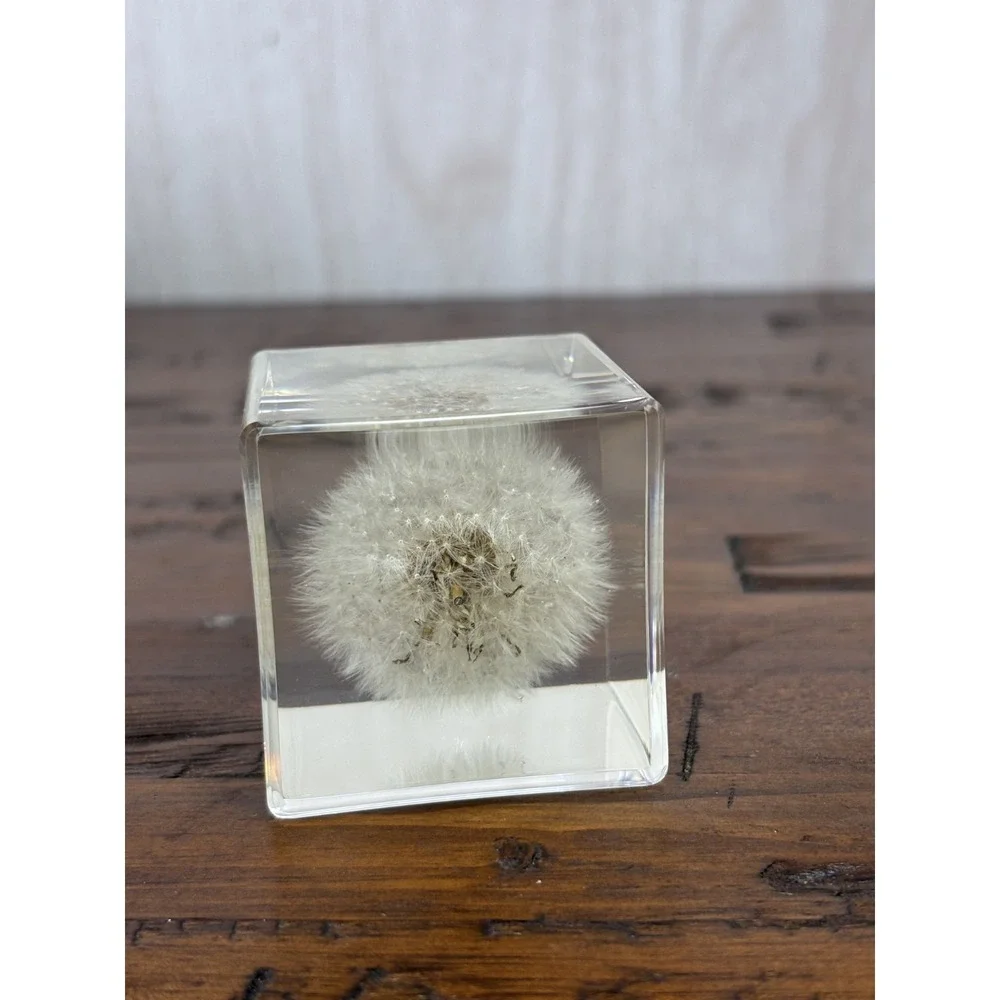 Real Dandelion Resin Paperweight 2